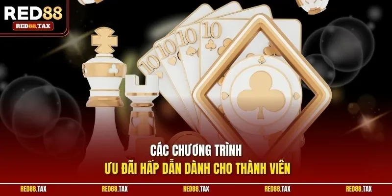 Các chương trình ưu đãi hấp dẫn dành cho thành viên