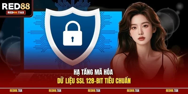 Hạ tầng mã hóa dữ liệu SSL 128-bit tiêu chuẩn 