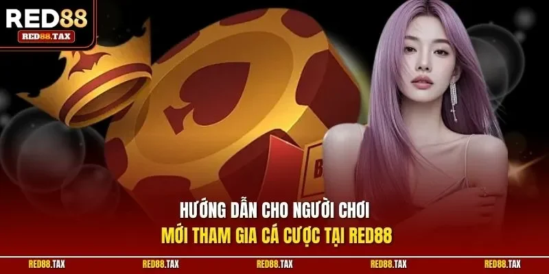 Hướng dẫn cho người chơi mới tham gia cá cược tại RED88 
