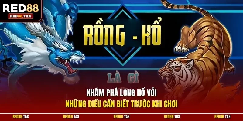 Khám phá long hổ với những điều cần biết trước khi chơi
