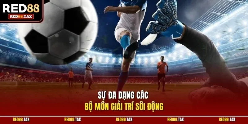 Sự đa dạng các bộ môn giải trí sôi động