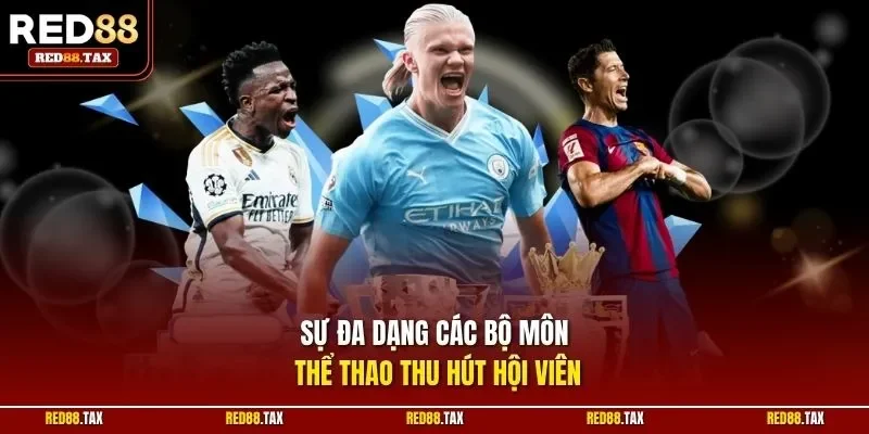 Sự đa dạng các bộ môn thể thao thu hút hội viên