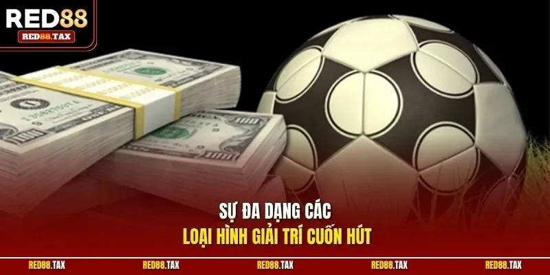 Sự đa dạng các loại hình giải trí cuốn hút