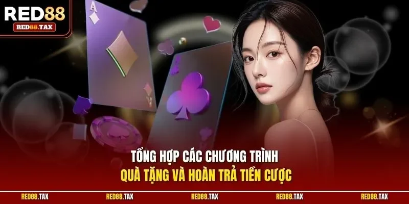 Tổng hợp các chương trình quà tặng và hoàn trả tiền cược